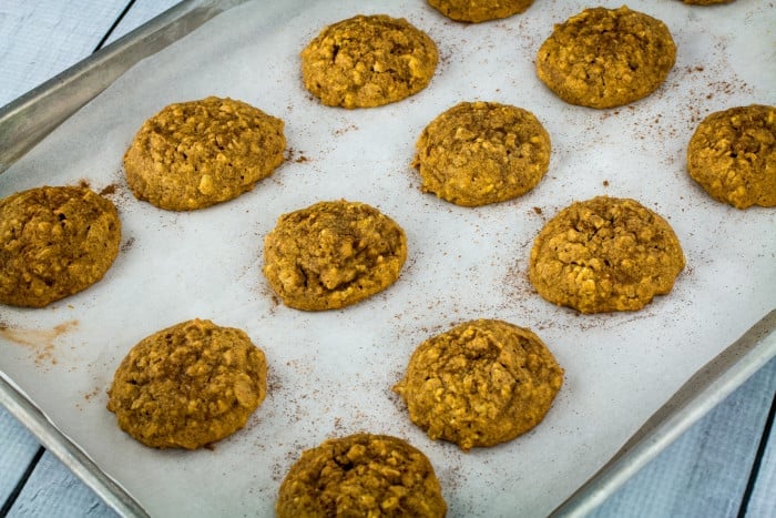 Soft Baked Gluten Free Pumpkin Oatmeal Cookies-2