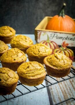 gluten free pumpkin muffins on a cooling rack