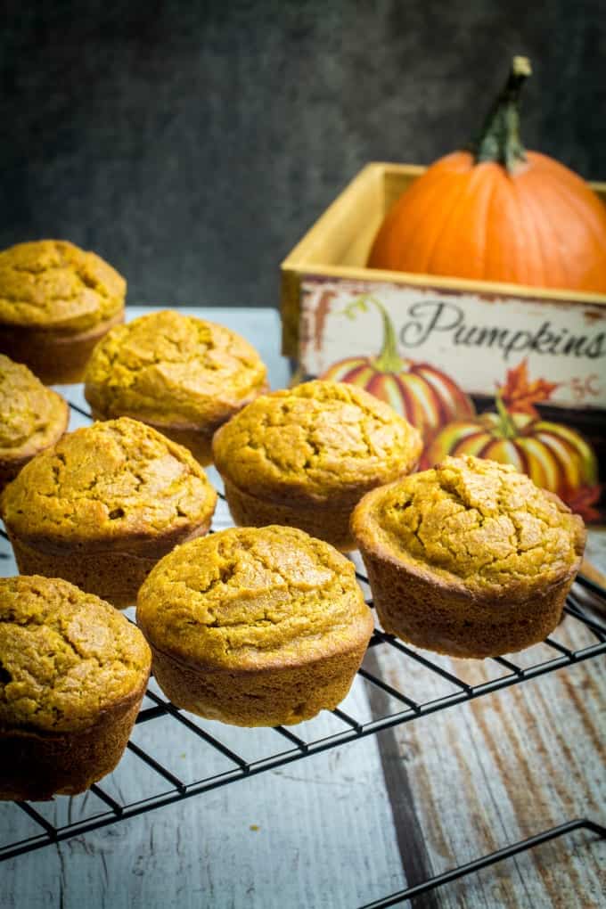 gluten free pumpkin muffins