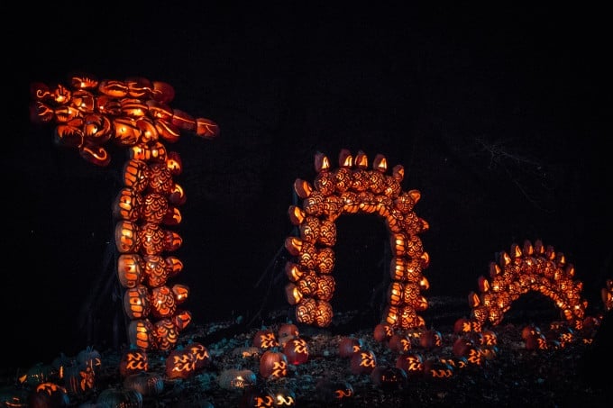 Great Jack O'Lantern Blaze-4