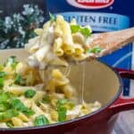 One Pot Easy Chicken Alfredo Recipe