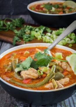 coconut chicken curry with vegetables