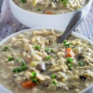 slow cooker creamy chicken & wild rice soup