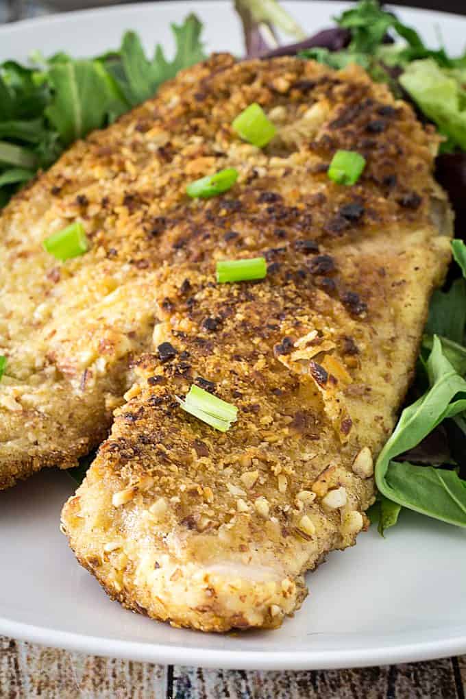 parmesan crusted tilapia