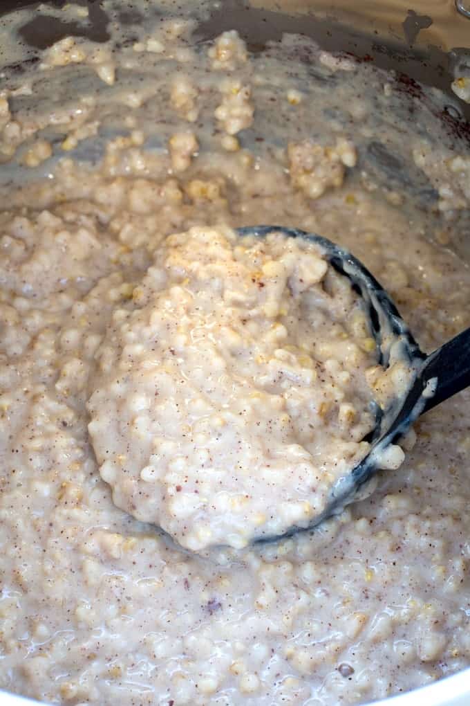 instant pot steel cut oats