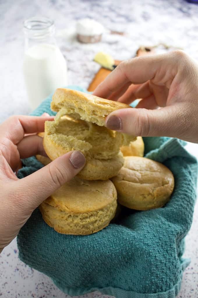 gluten free biscuit recipe