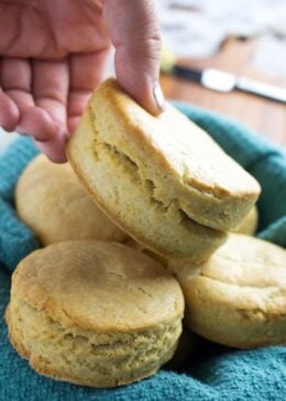 southern buttermilk biscuits