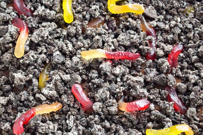 Worms In Dirt Chocolate Pudding Dessert Dishing Delish