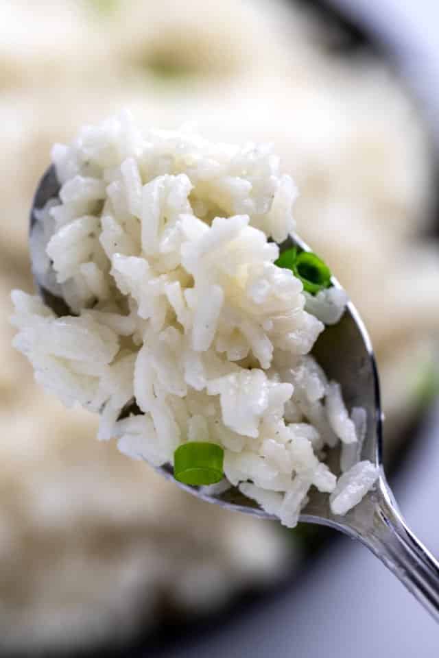 Easy Coconut Rice (How to Make Coconut Rice!) • Dishing Delish