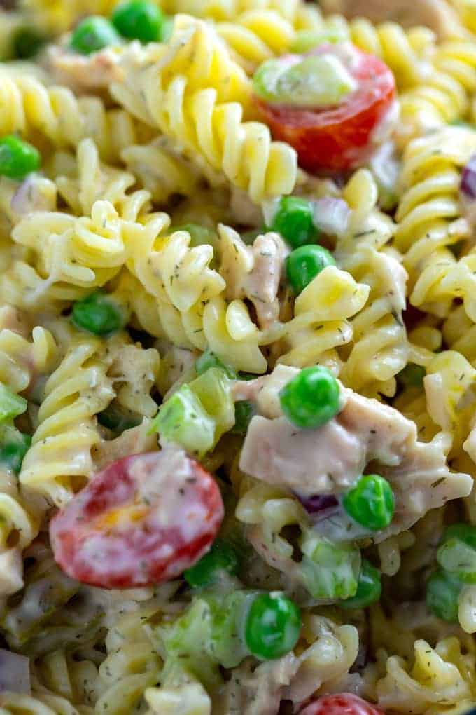 Tuna Pasta Salad Recipe