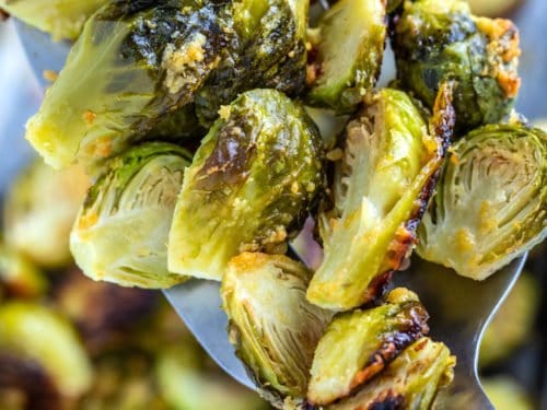 Parmesan Roasted Brussel Sprouts Dishing Delish