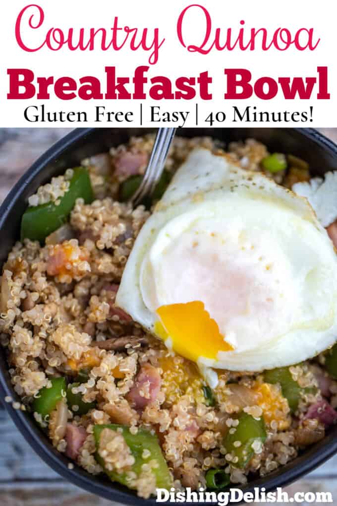 country quinoa bowl closeup with over easy egg on top