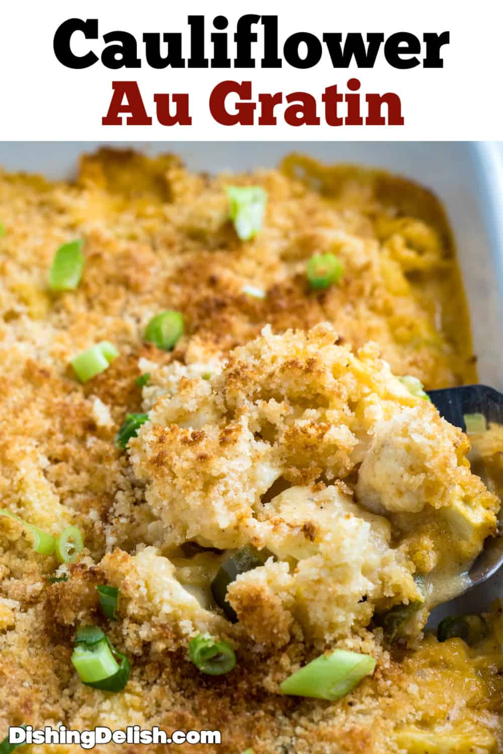 Cauliflower Au Gratin • Dishing Delish