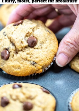 Pinterest pin with a hand picking up a chocolate chip banana muffin out of a muffin tin.