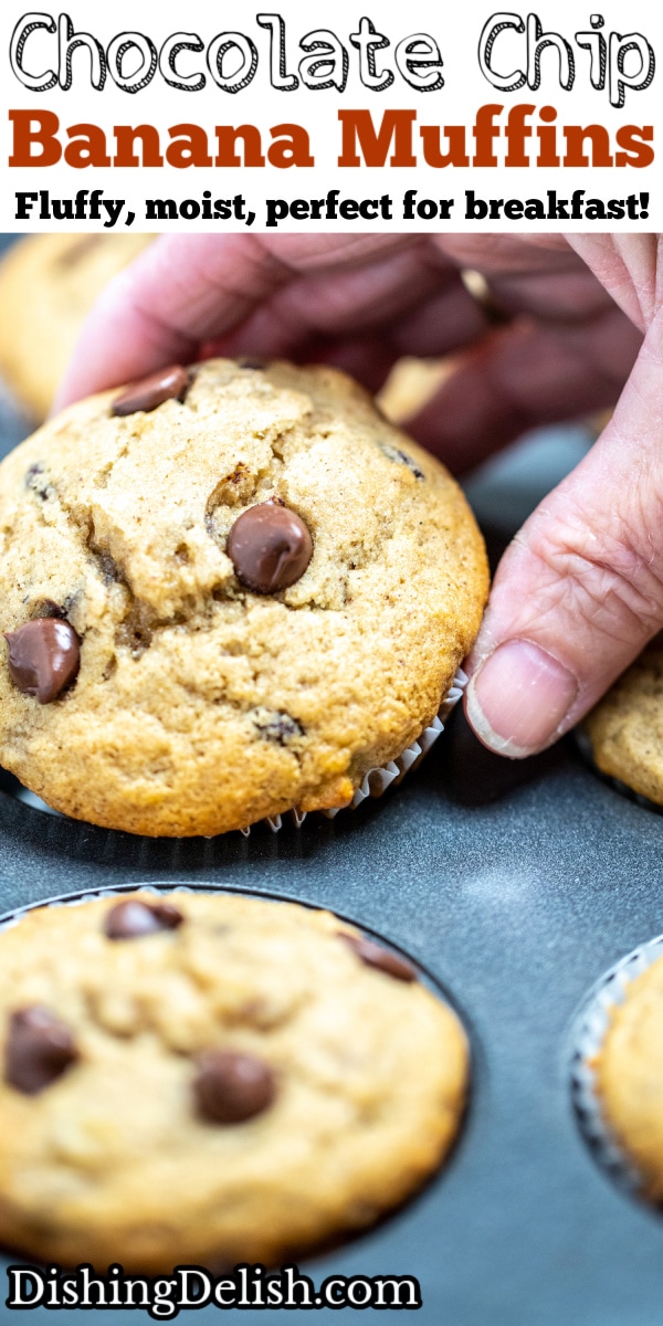 Pinterest pin with a hand picking up a chocolate chip banana muffin out of a muffin tin.