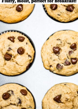 Pinterest pin with a muffin tin of freshly baked chocolate chip banana muffins.