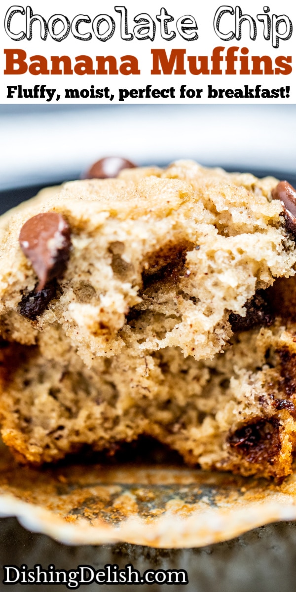 Chocolate Chip Banana Muffins • Dishing Delish