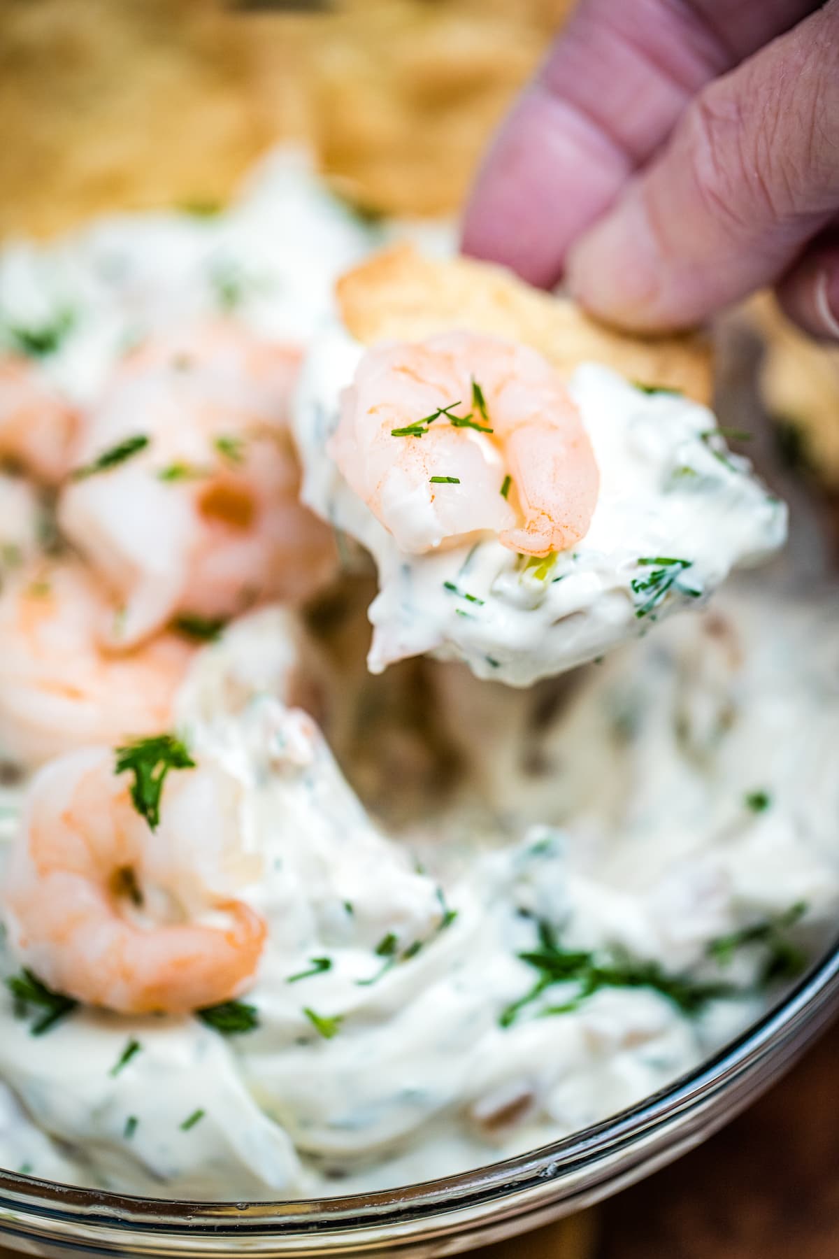 A hand scooping shrimp dip onto a cracker with a shrimp on top.