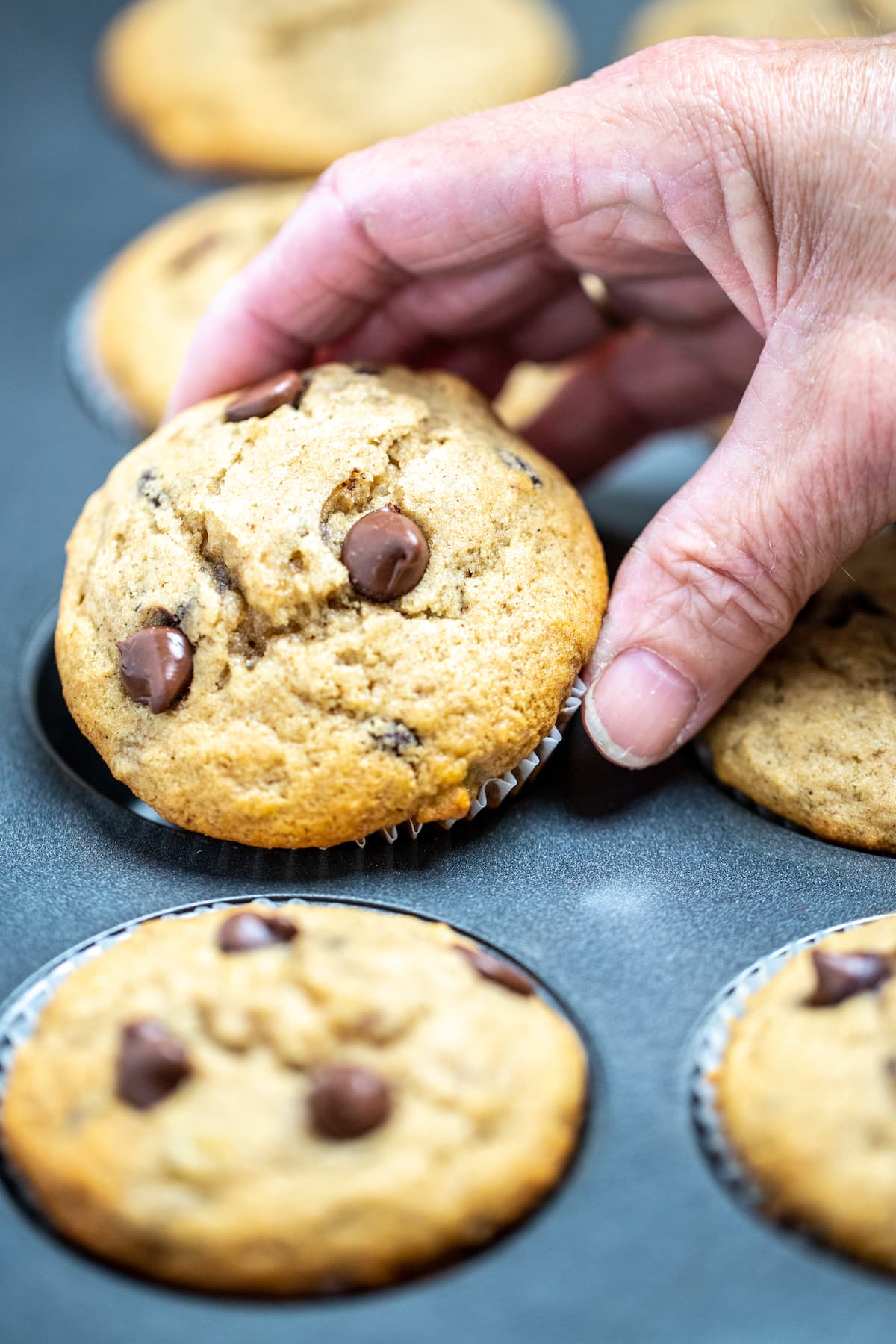 A hand removing a chocolate chip banana muffin from a muffin tin.