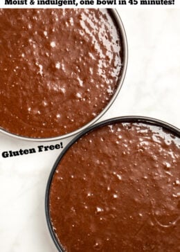 Pinterest pin of chocolate coffee cake batter in two round baking pans.