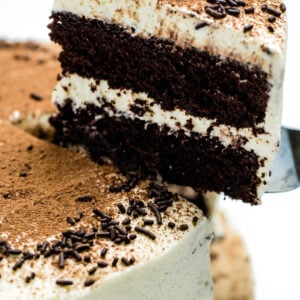 Chocolate coffee cake with a slice of cake being lifted up. The cake is coated in mascarpone frosting, with a middle layer of frosting, and decorated with chocolate sprinkles and a dusting of cocoa powder.