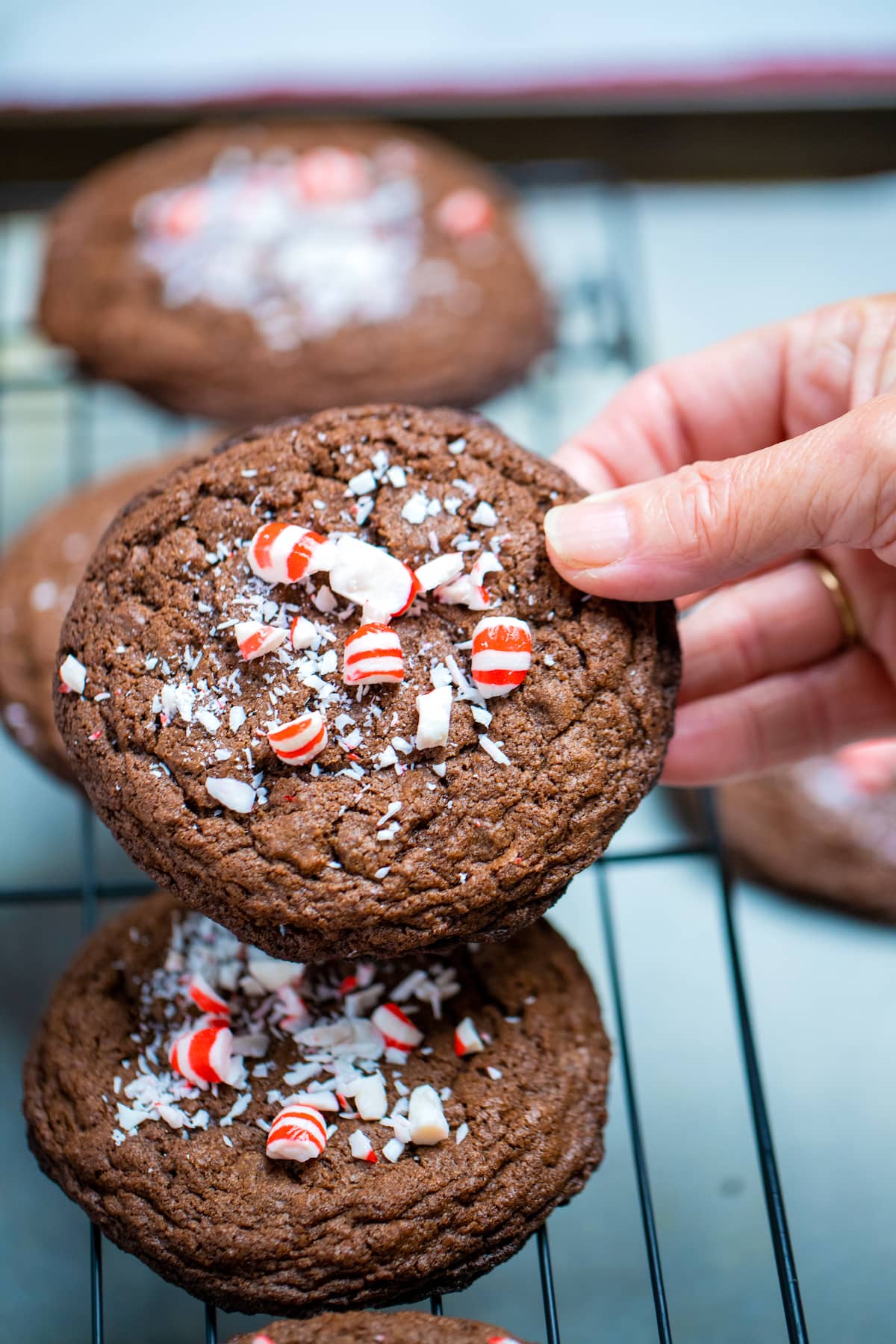 A hand holding a peppermint chocolate cookie above a baking rack with cookies cooling on it below.
