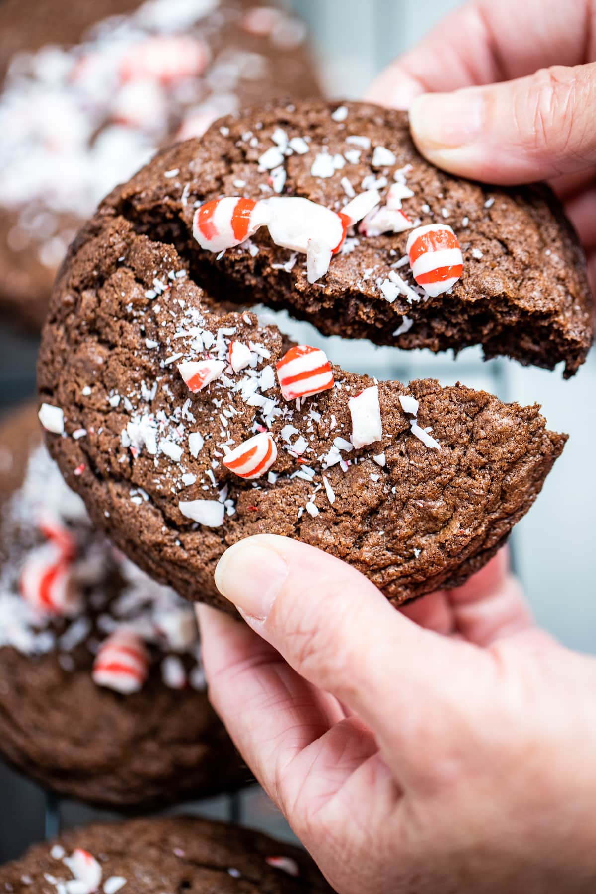 Two hands breaking a peppermint chocolate cookie in half.