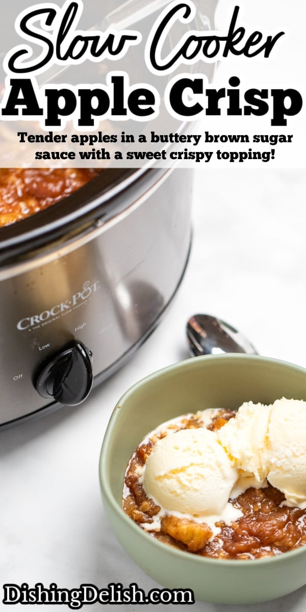 Slow Cooker Apple Crisp (Gluten Free) • Dishing Delish