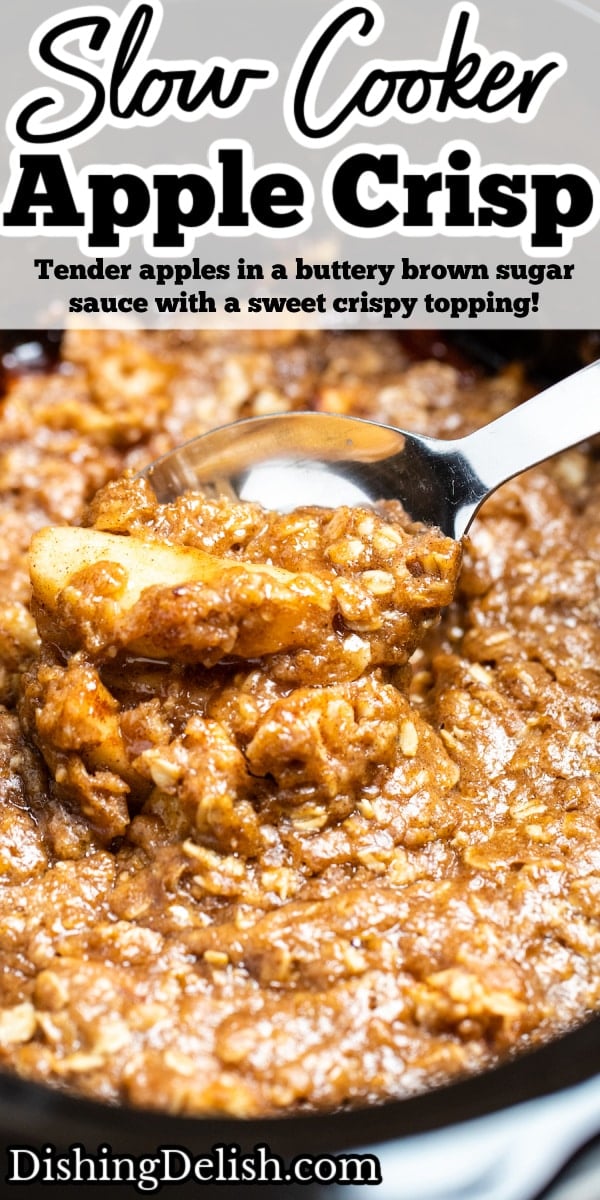 Slow Cooker Apple Crisp (Gluten Free) • Dishing Delish