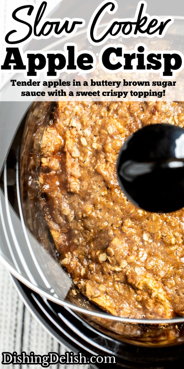 Slow Cooker Apple Crisp (Gluten Free) • Dishing Delish