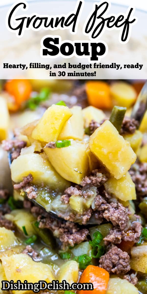 Ground Beef Soup • Dishing Delish