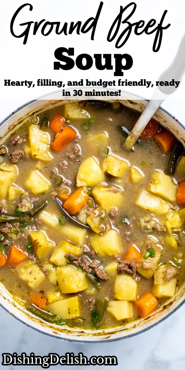 Ground Beef Soup • Dishing Delish