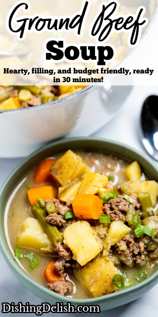 Ground Beef Soup • Dishing Delish