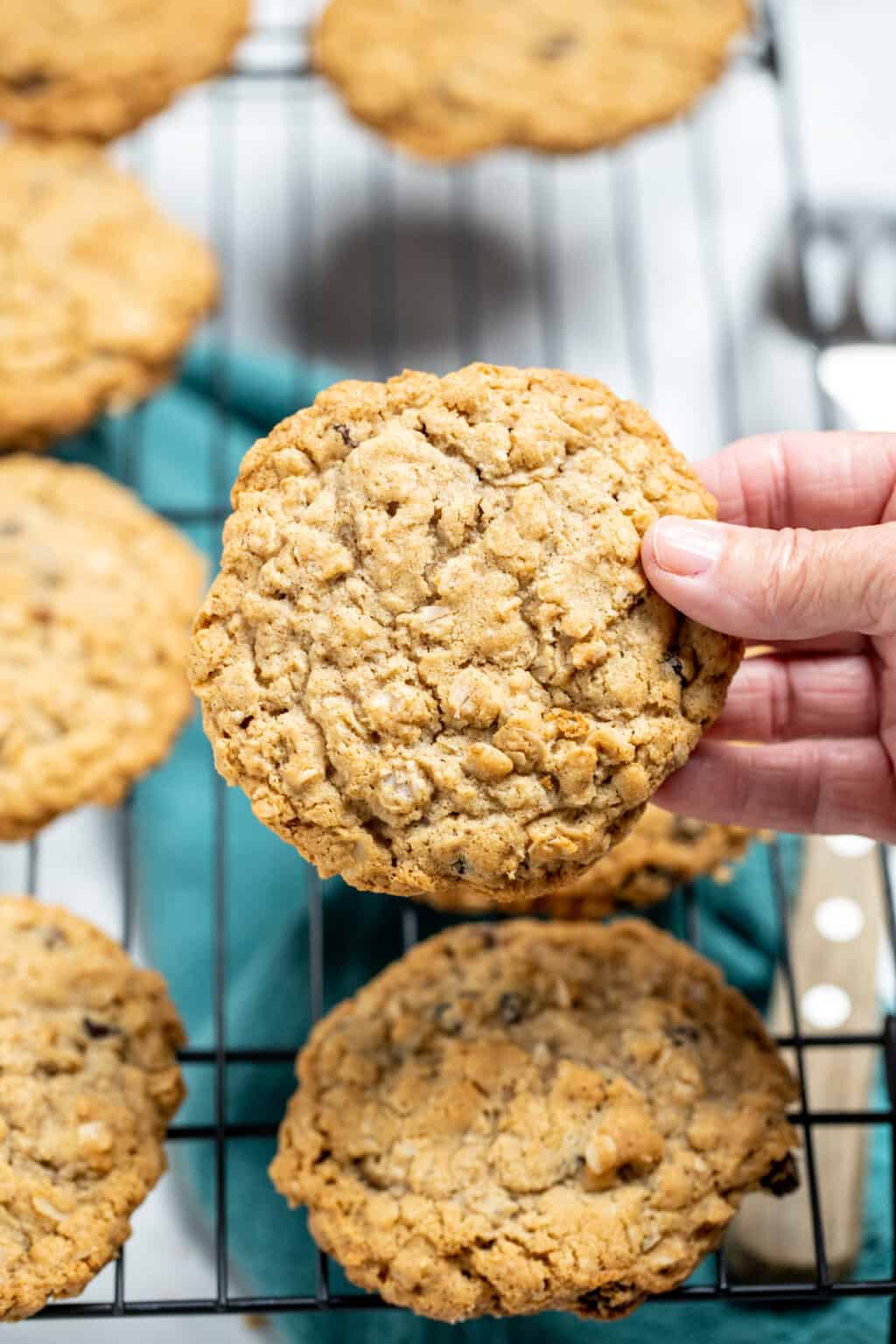 Gluten Free Oatmeal Cookies Dishing Delish gluten-free-oatmeal-cookies-dishing-delish