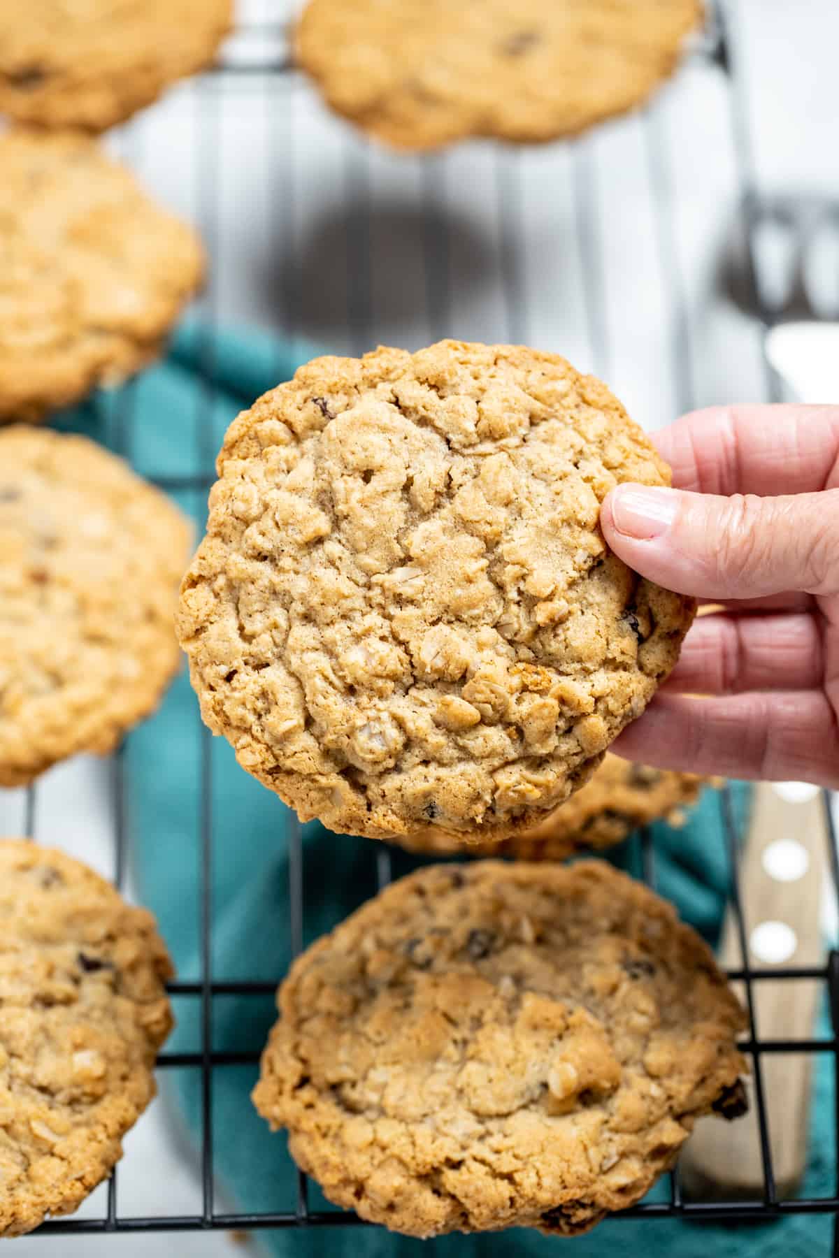 A hand holding a gluten free oatmeal cookie with cookies below on a cooling rack, above a kitchen towel.