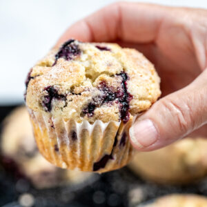 A hand holding a gluten free blueberry muffin above the tray of muffins.