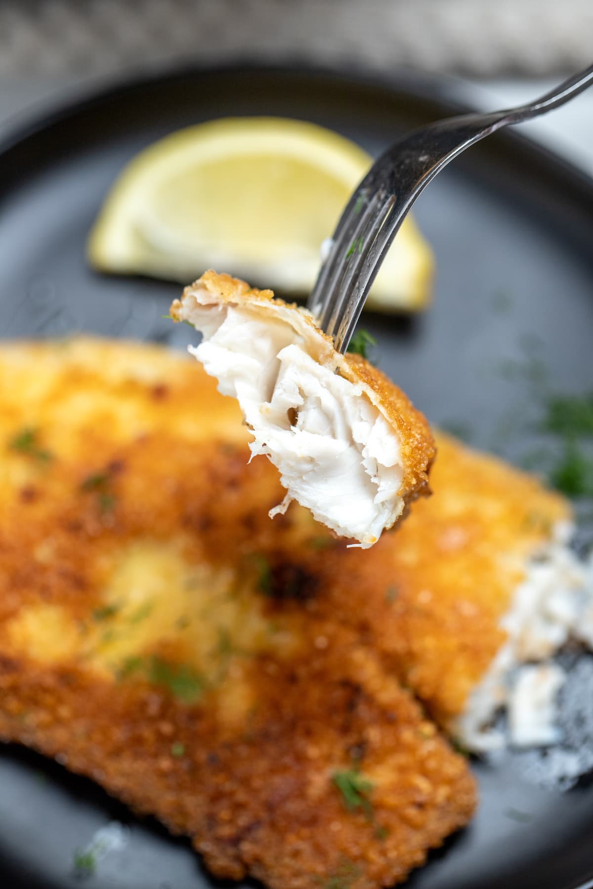 A fork lifting up a flakey piece of parmesan crusted tilapia from a plate with a large filet on it.