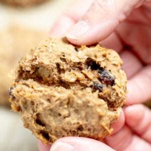 Two hands holding an oatmeal breakfast cookie and breaking it in half to show the chewy cookie center.