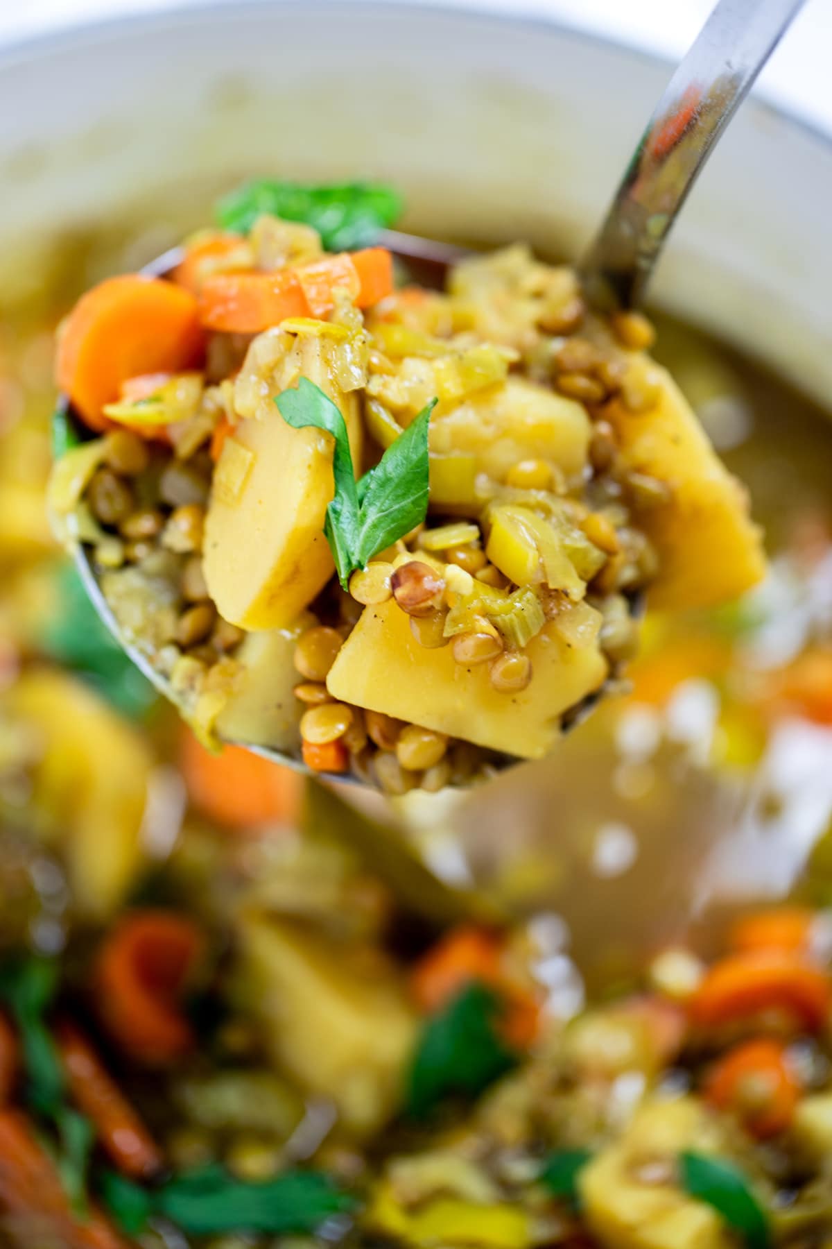 A ladle scooping lentil vegetable soup with carrots, potatoes, leeks, and lentils out of a pot.