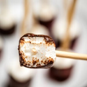 A chocolate dipped marshmallow on a stick with a bite taken out of it, with a plate of more chocolate marshmallows in the background.