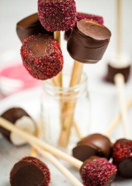 A jar with chocolate dipped marshmallows rolled in sprinkles, with the marshmallows on top on lollipop sticks, behind more marshmallows laying on a plate.