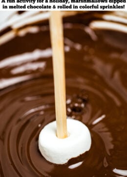 Pinterest pin with a marshmallow on a stick being dipped into a bowl of melted chocolate.