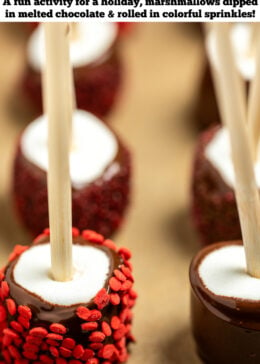 Pinterest pin with marshmallows dipped in chocolate and sprinkles on lollipop sticks in a line, on a sheet pan lined with parchment paper.