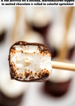 Pinterest pin with a chocolate dipped marshmallow on a stick with a bite taken out of it, with a plate of more chocolate marshmallows in the background.