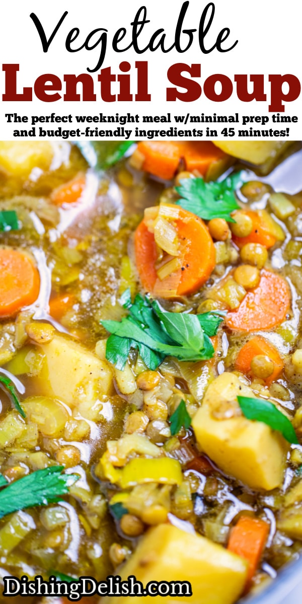 Lentil Vegetable Soup • Dishing Delish