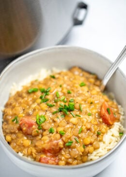 A bowl with rice topped with lentils and chives, with a spoon in the bowl, sitting on a table in front of an instant pot.