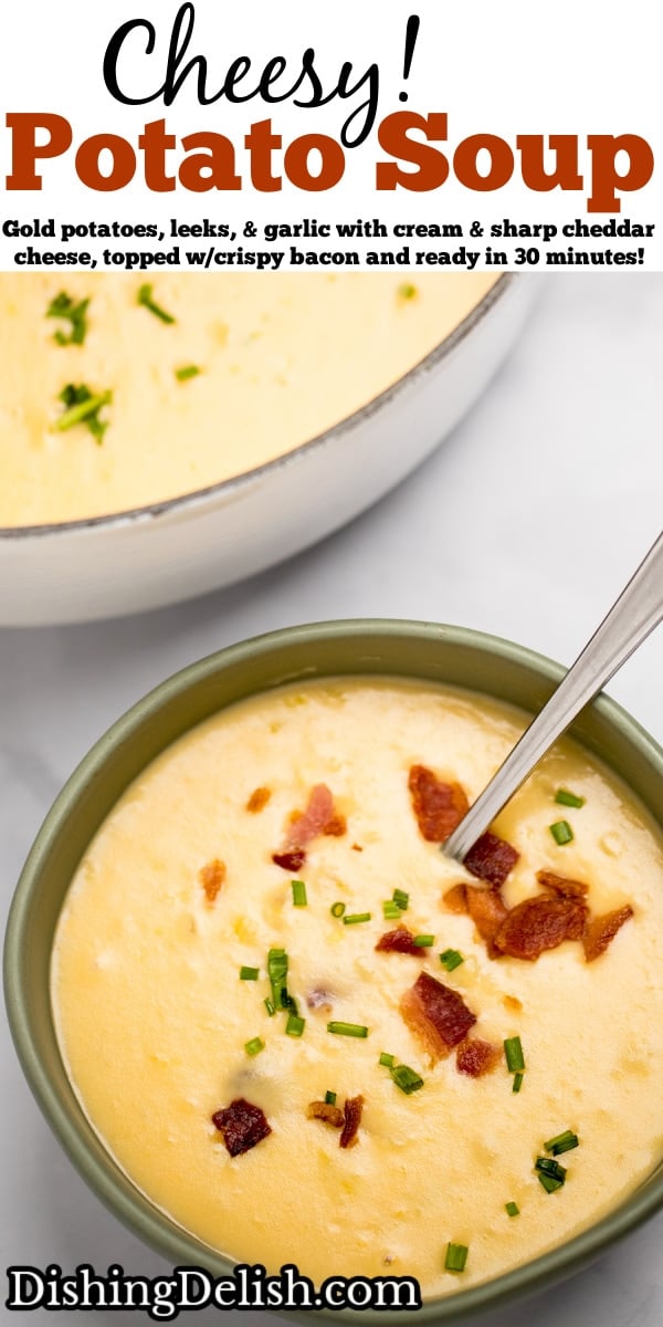 Potato Cheese Soup • Dishing Delish
