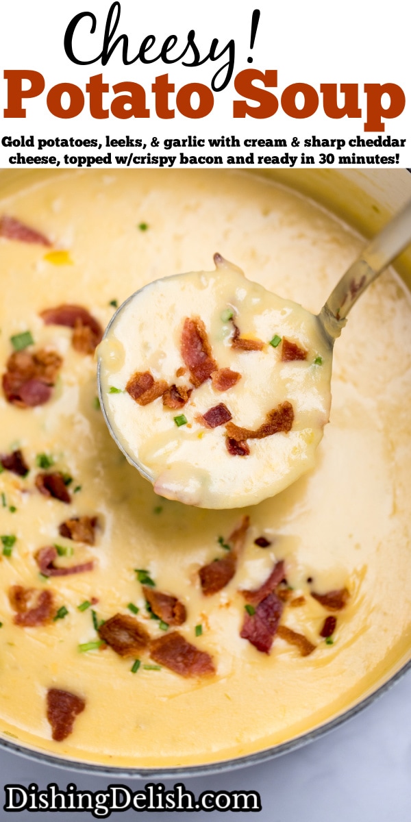 Potato Cheese Soup • Dishing Delish