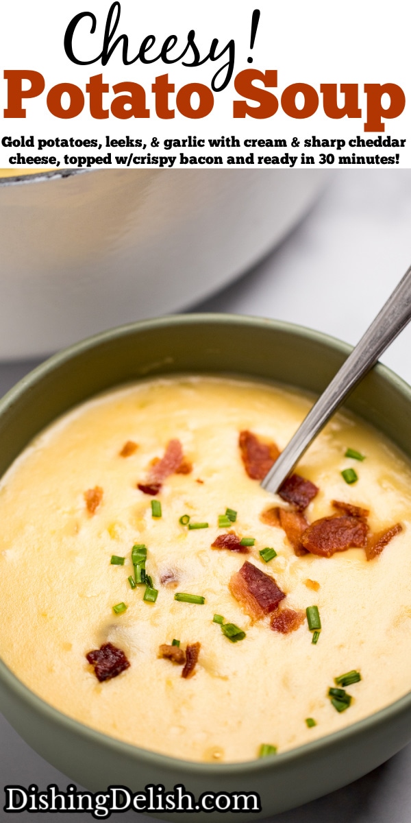 Potato Cheese Soup • Dishing Delish