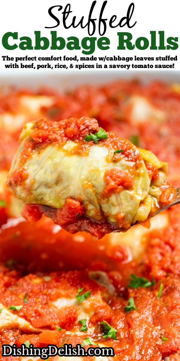 Stuffed Cabbage Rolls • Dishing Delish